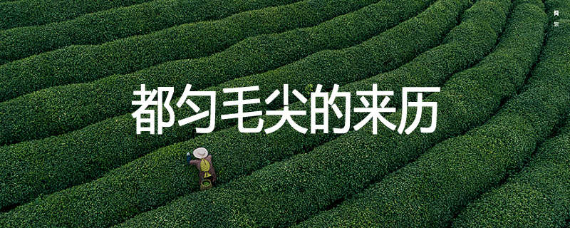 都匀毛尖的来历