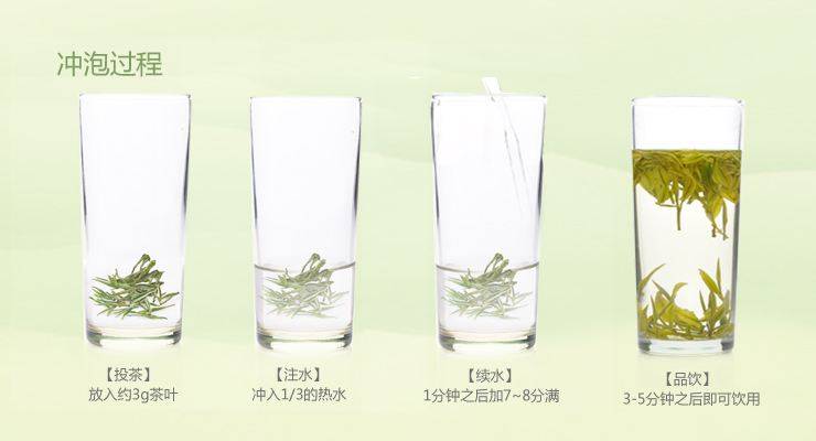安吉白茶如何冲泡