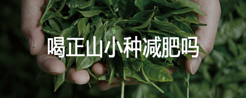 喝正山小种减肥吗