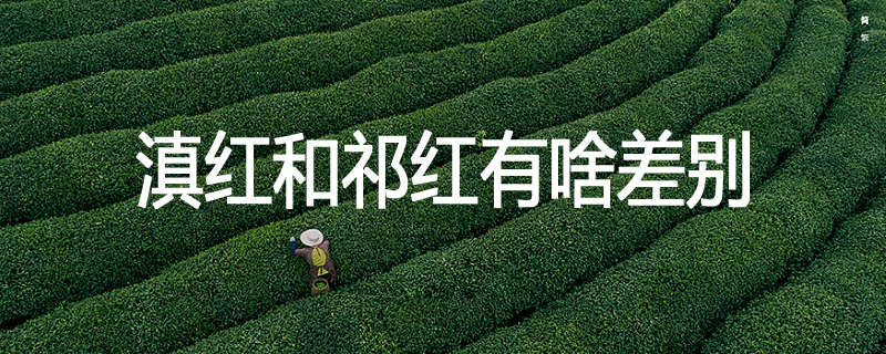 滇红和祁红有啥差别