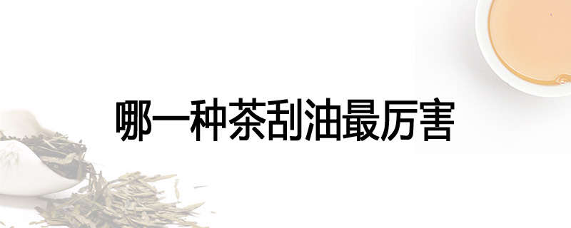 哪一种茶刮油最厉害