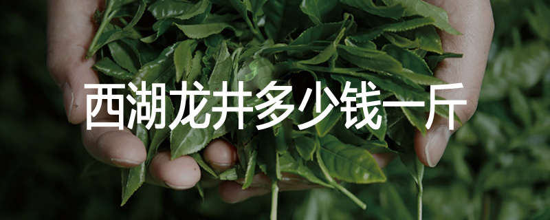 西湖龙井多少钱一斤