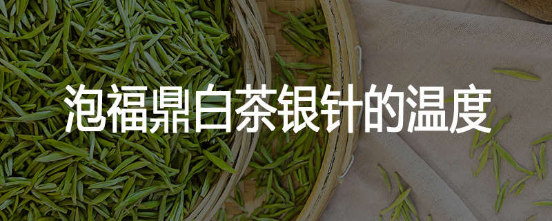泡福鼎白茶银针的温度
