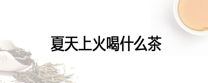 夏天上火喝什么茶