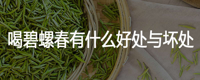 喝碧螺春有什么好处与坏处
