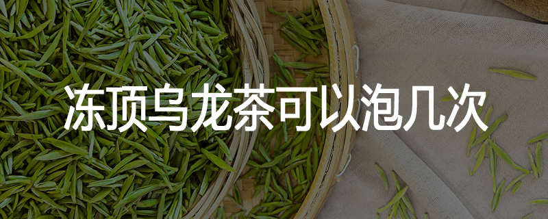冻顶乌龙茶可以泡几次