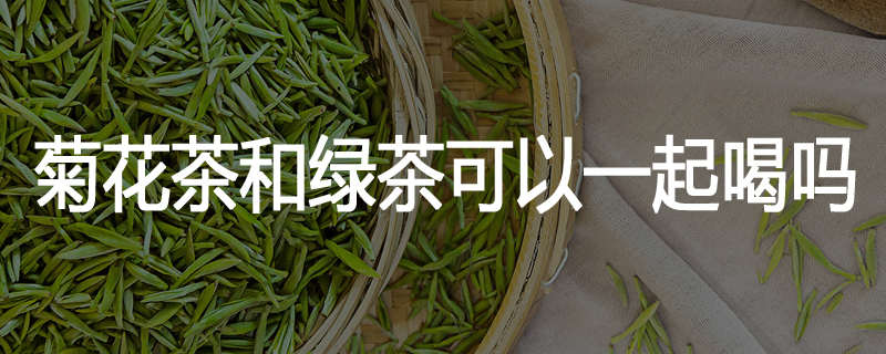 菊花茶和绿茶可以一起喝吗