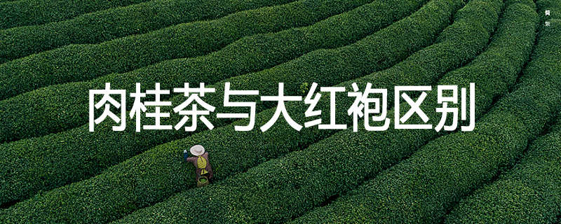 肉桂茶与大红袍区别
