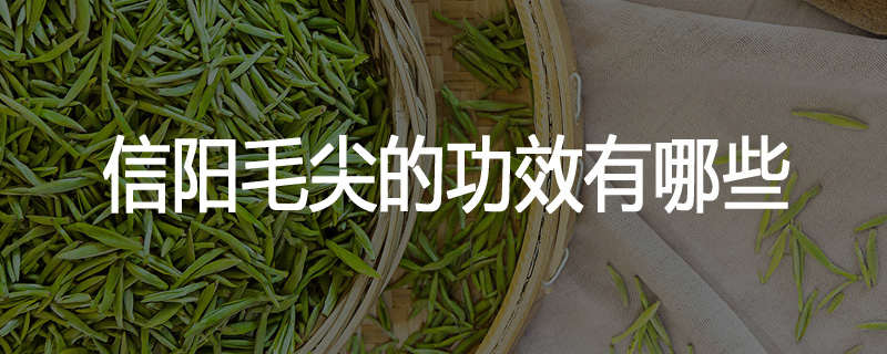 信阳毛尖的功效有哪些
