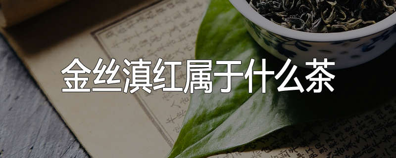 金丝滇红属于什么茶