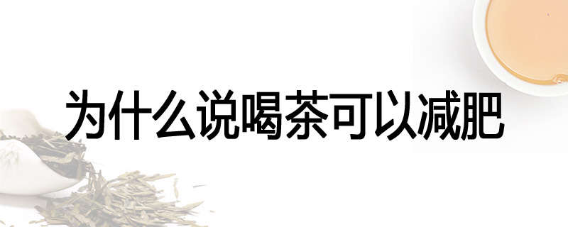 为什么说喝茶可以减肥