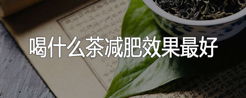喝什么茶减肥效果最好