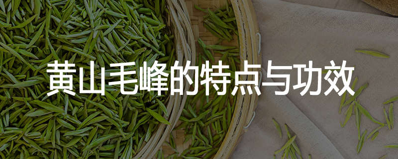 黄山毛峰的特点与功效