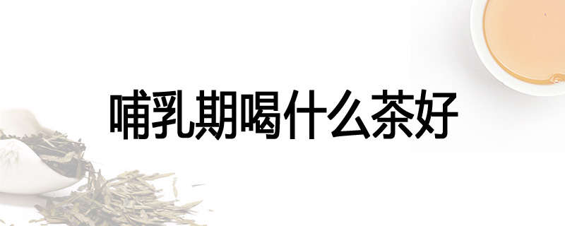 哺乳期喝什么茶好