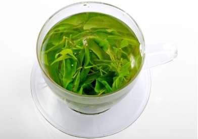 小叶苦丁茶什么味道