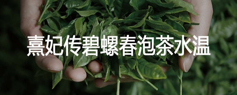 熹妃传碧螺春泡茶水温