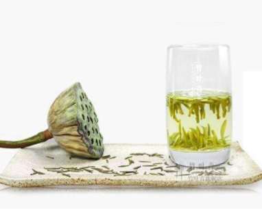 竹叶青茶是苦的吗