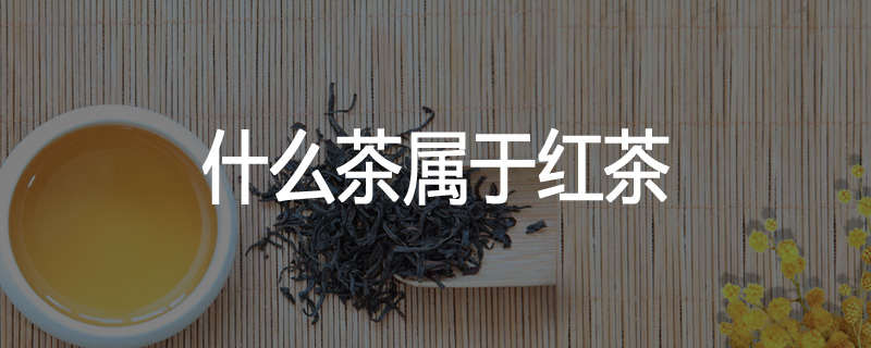 什么茶属于红茶