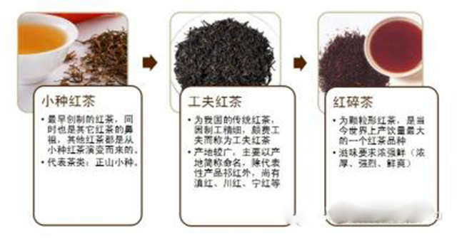 红茶怎么分类