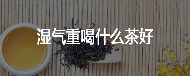 湿气重喝什么茶好