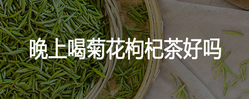 晚上喝菊花枸杞茶好吗