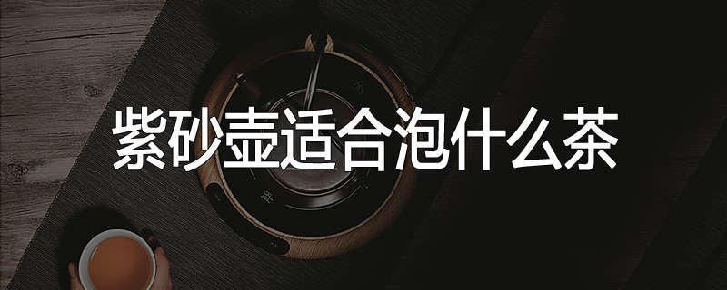 紫砂壶适合泡什么茶