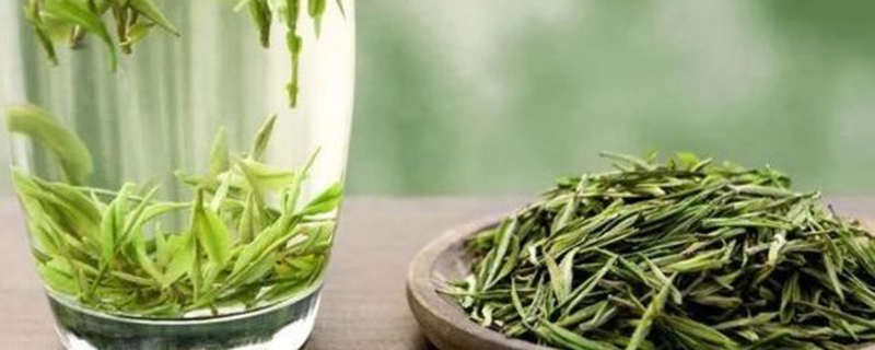 安吉白茶是白茶吗