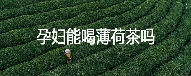 孕妇能喝薄荷茶吗