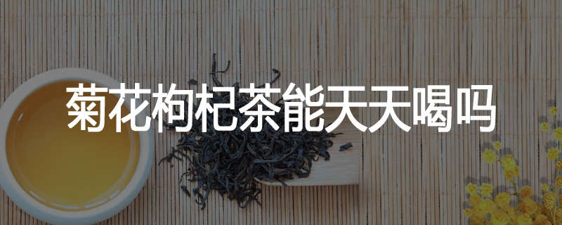 菊花枸杞茶能天天喝吗
