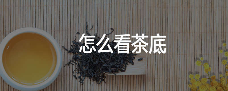 怎么看茶底