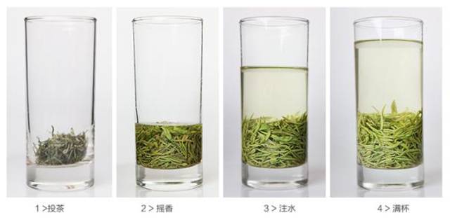 毛尖第一泡要多久
