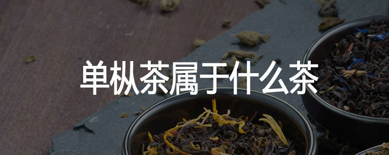单枞茶属于什么茶