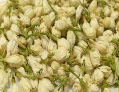 茉莉花茶是绿茶吗