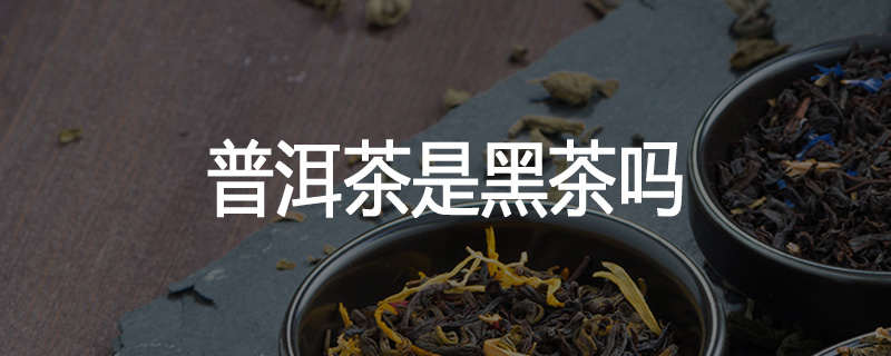 普洱茶是黑茶吗