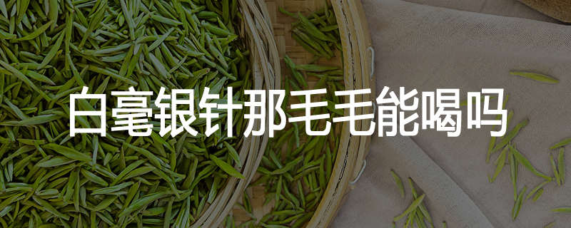 白毫银针那毛毛能喝吗