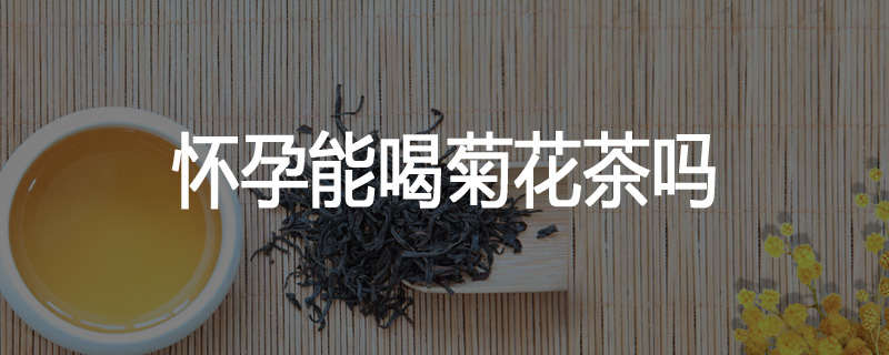 怀孕能喝菊花茶吗