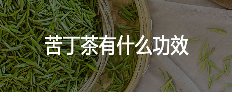 苦丁茶有什么功效