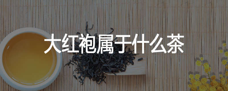 大红袍属于什么茶