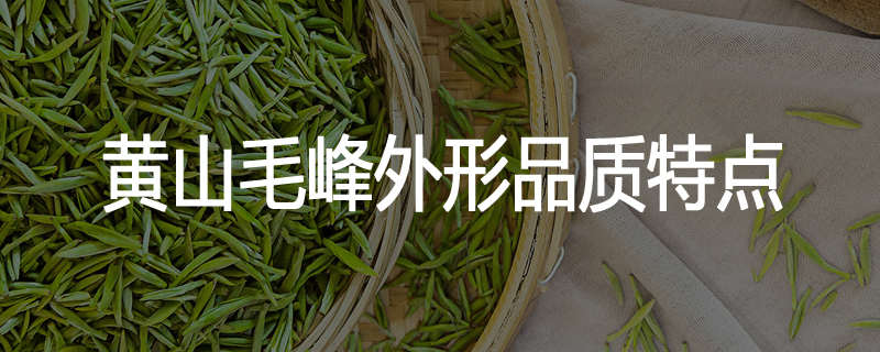 黄山毛峰外形品质特点