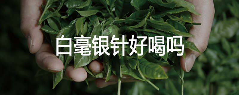 白毫银针好喝吗