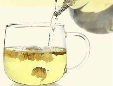 胎菊和杭白菊的口感区别