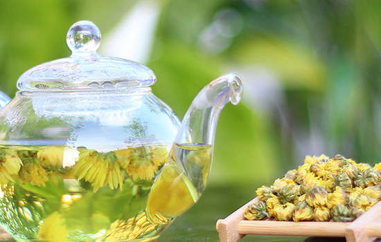 胎菊好还是杭白菊好