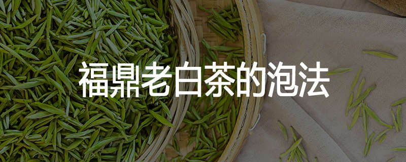 福鼎老白茶的泡法