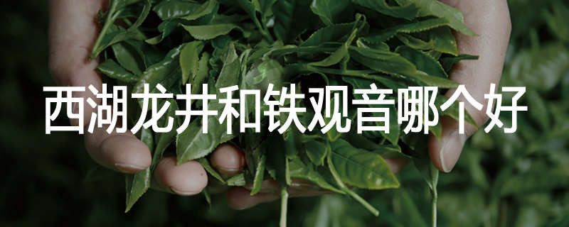 西湖龙井和铁观音哪个好