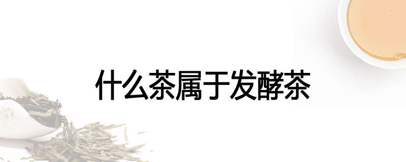 什么茶属于发酵茶