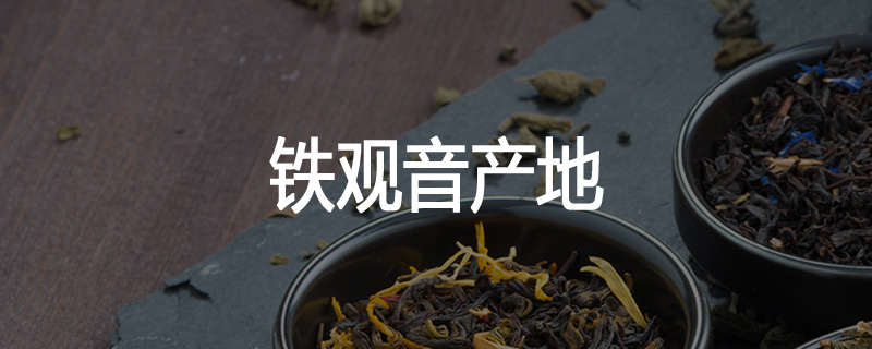 铁观音产地