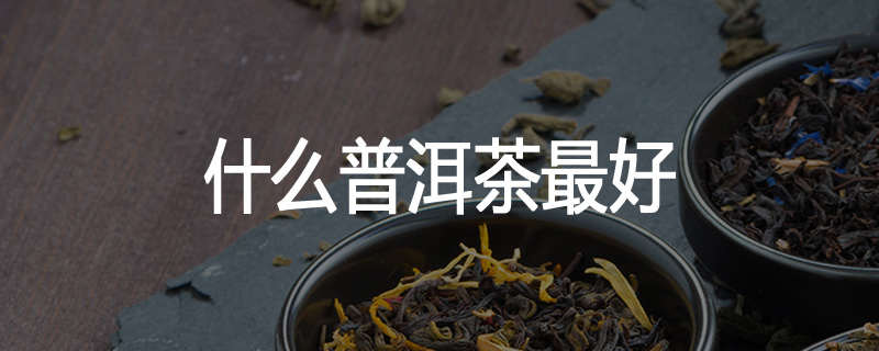 什么普洱茶最好