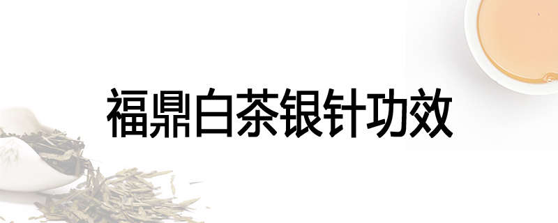 福鼎白茶银针功效
