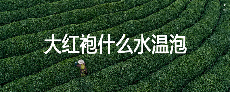 大红袍什么水温泡