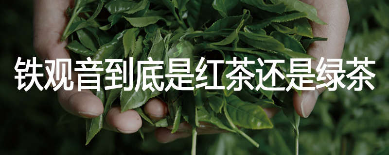 铁观音到底是红茶还是绿茶